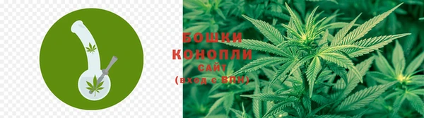 каннабис Алзамай