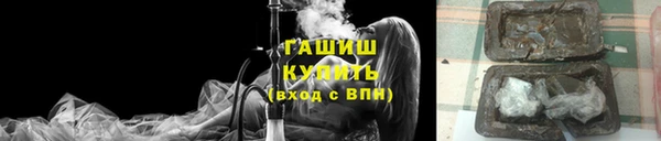 сатива Беслан