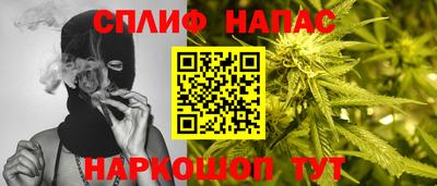индика Тверь