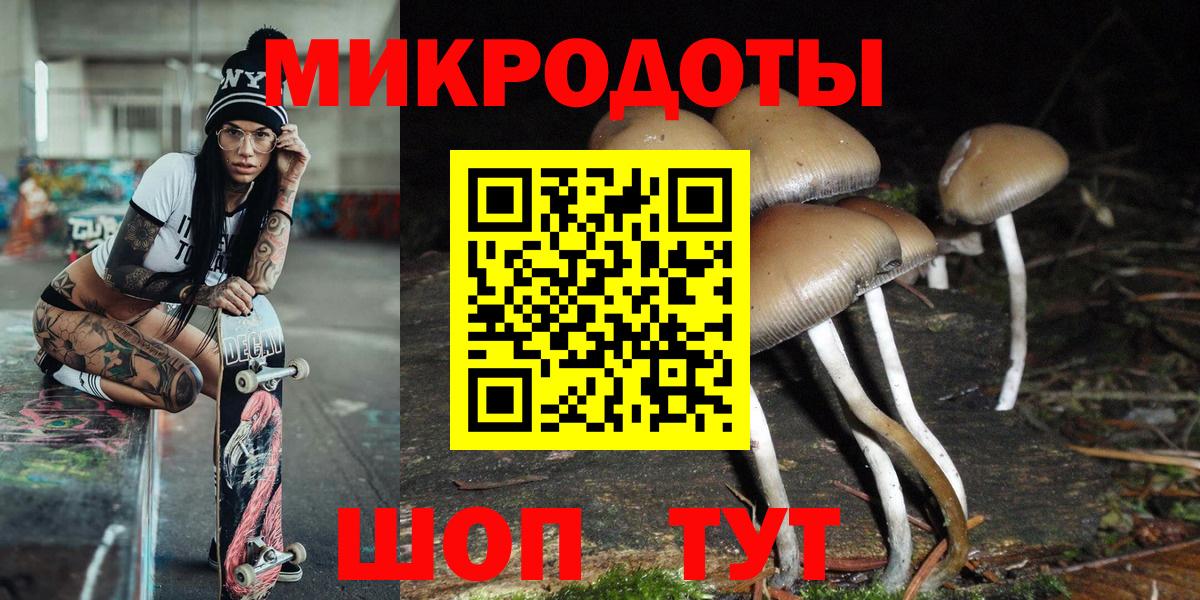 Псилоцибиновые грибы Psilocybe  Галлюциногенные грибы Psilocybe  Ставрополь  Вход с VPN 